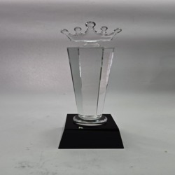 Acrylic Trophies